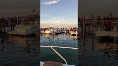 Piper on the Pier Before the Dunedin Holiday Boat Parade