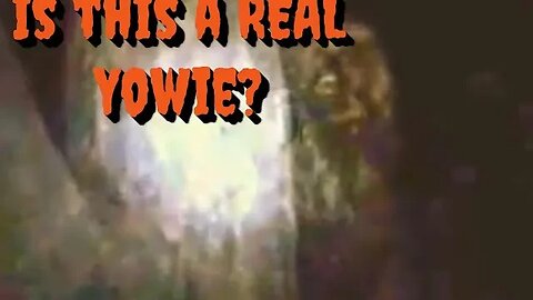Is this Real Yowie Footage? | Enhancement