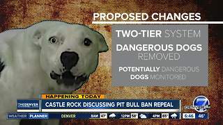 Castle Rock to hold final hearing on repealing pit bull ban