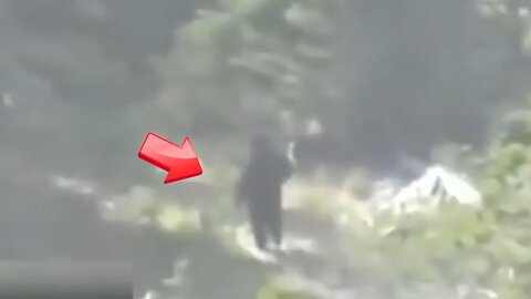 Sighting of someone who looks like Bigfoot in the woods [Conspiracy]