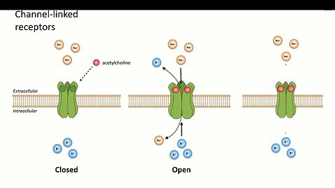 5 Drug Binding Receptors