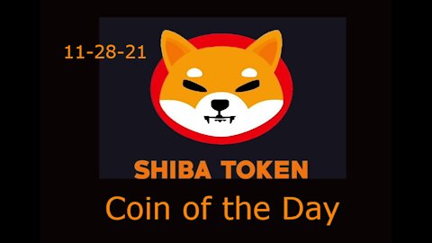 Shiba - Coin of the Day