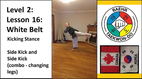 Baehr Taekwondo: 02-16: Yellow Stripe: Kicking Stance - Side Kick and Side Kick (combo)