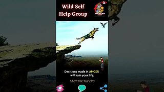 🔥Control your anger🔥#shorts🔥#wildselfhelpgroup🔥29 December 2022🔥