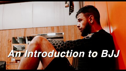 A Stan & Flan Introduction to Brazilian JiuJitsu (BJJ)