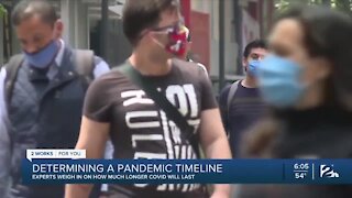 Experts weigh in on how much longer pandemic will last