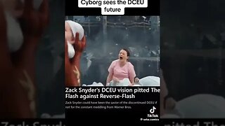 The Fall of DC in a Nutshell (credit to @seba.comics on TikTok) #restorethesnyderverse