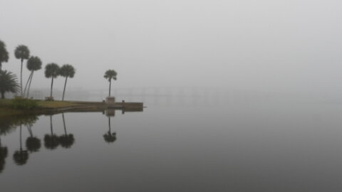 Super White-Out Florida Fog