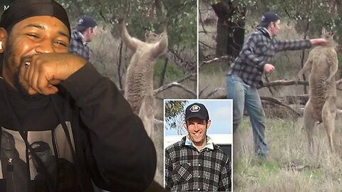 MAN PUNCHES KANGAROO IN THE FACE TO RESCUE HIS DOG | REACTION!!!