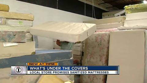 Stains, bugs and body fluids found on ‘sanitized’ refurbished mattresses sold in Tampa Bay stores