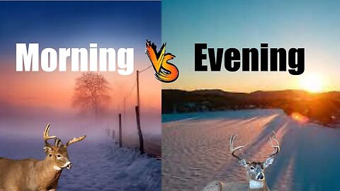 Evenings VS Mornings in Late Season