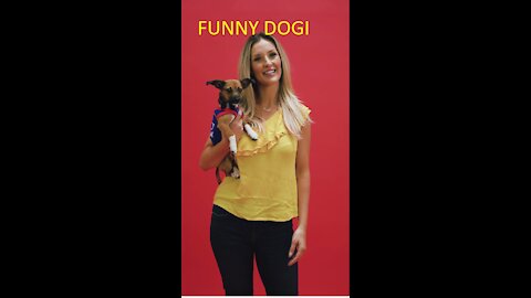 Funny Cat&DogI || Funny Pets || Cute Pets || @funnyanimalsstv