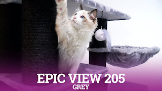 Petrebels cat trees - Epic View 205 - Grey