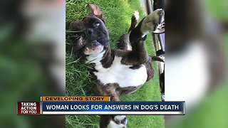 Owner believes dog was tortured, killed after body found in trash can with metal pipe around head