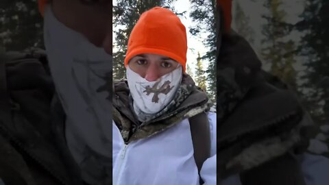 Hunting in the snow for a doe #doe #hunting #huntalberta