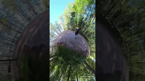 Planet roll Sääksjärvi Forest Insta360 X3 #insta360 #shots