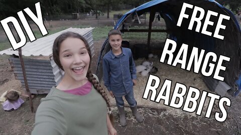 Free Range Rabbits!!!/ DIY/ Cage Free/ Easy Set up!!!