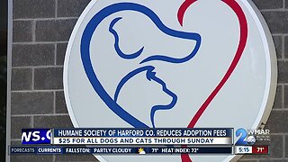 $25 adoption fee for cats and dogs at the Humane Society of Harford County