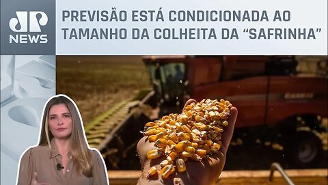 Kellen Severo: Brasil deve liderar exportação mundial de milho em 2023