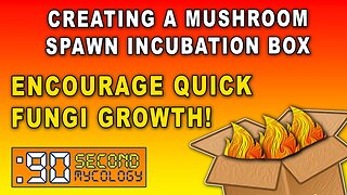 Creating a Mushroom Spawn Incubation Box \\ Encourage FAST MYCELIUM GROWTH!
