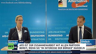 AfD-Parteitag: Eigene Medienkanäle und stärkere Kooperation mit “Alternativen Medien”?