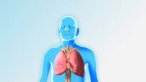 Rehabilitación pulmonar