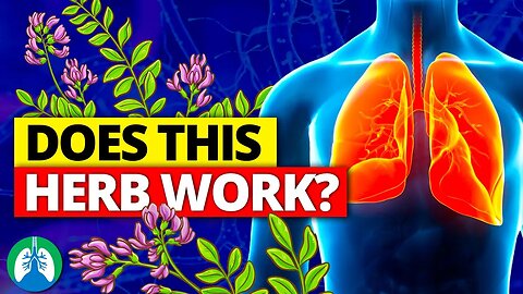 How to Detox and Cleanse Your Lungs with Astragalus ❓