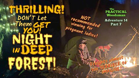 Thrilling! Don't Let Them Get You! Night in Deep Forest!