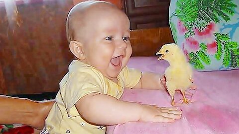 Amazing Funny Babies and Chicken Become Best Friends! Really Funny)