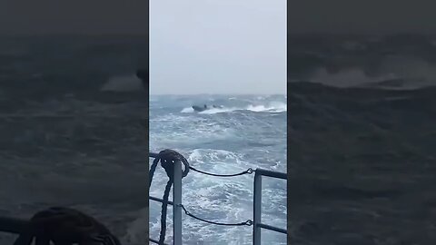 Small Boat Training In Heavy Weather.#trending #shorts #lifeatsea #ship #shipping #video #oceanwaves