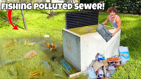 Saving AQUARIUM FISH From Polluted SEWER!