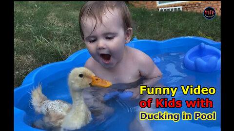 Funny Video of Kids with Ducking in Pool-MayaFunnyVideo