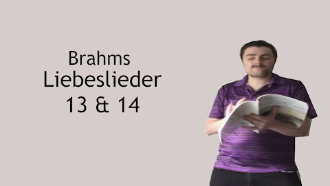 Brahms Liebeslieder - Vögelein durchrauscht die Luft & Sieh, wie ist die Welle klar