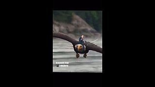 Trump Riding A Bald Eagle, Doesn’t Get Anymore American Than That