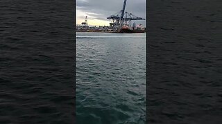 Ferry coming into Auckland