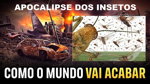 EXTINÇÃO DOS INSETOS - apocalipse dos insetos pode acontecer se mudança climática não for controlada