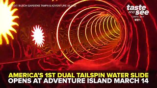 America's first dual tailspin water slide opens at Adventure Island March 14 | Taste and See Tampa Bay