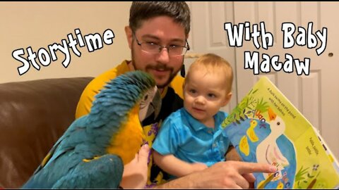 Storytime with Baby & Macaw