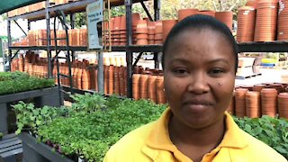 SOUTH AFRICA - Cape Town - Winter vegetables and herbs (Video) (K9F)