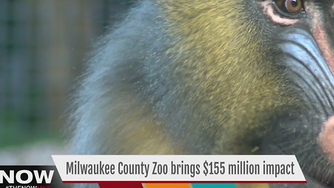 Study reveals MKE Co. Zoo is economic driver