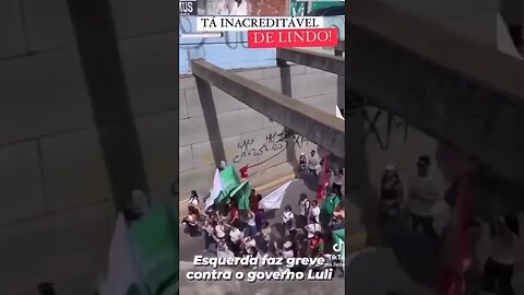 Esquerdistas fazendo manifestação contra o governo do Janjo 😁