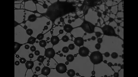 the polymerization of acrylic nitrile and carbon graphene nano dots into a nanofiber mesh.