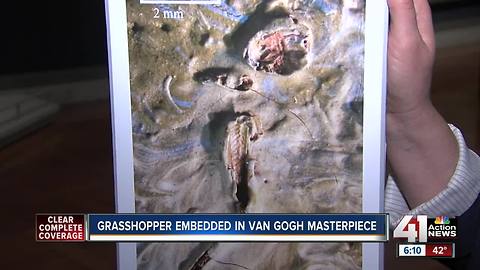 Grasshopper found embedded in van Gogh masterpiece