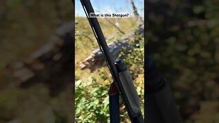 New Shotgun What is it? | Outdoor Jack