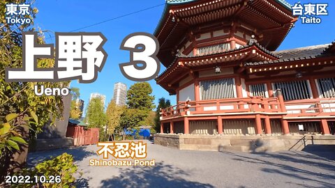 【Tokyo】Walking in Ueno 3 (2022.10.26)