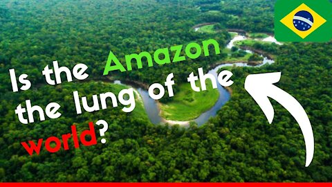 AMAZON RAINFOREST (Deforestation, Biodiversity, Amazon River...)