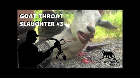 Goat throat slaughter.