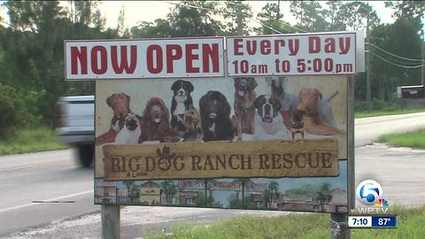 Big Dog Ranch Rescue sends teams to Texas