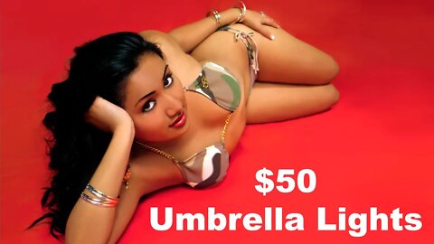 $50 Umbrella Lighting Kit