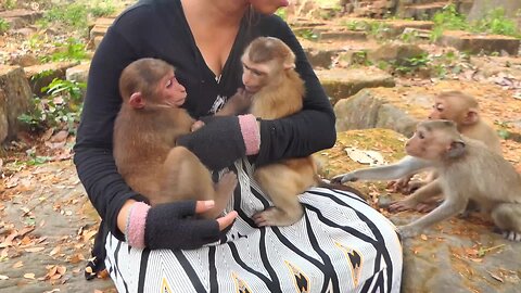 Warm Welcome From Kid abandoned Sovanna to New Abandoned stump tail